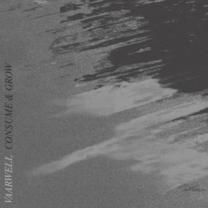 consume (poolsideconvo remix)