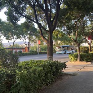 爱你是孤单的心事