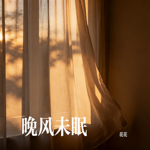 晚风未眠