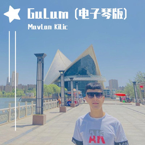 黑哥-AdanaLik(电子琴版)（MavLan KiLic remix）