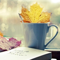 心愿便利贴(钢琴曲)