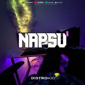 DJ NAPSU