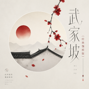 武家坡(抖音热播 慢摇版remix）