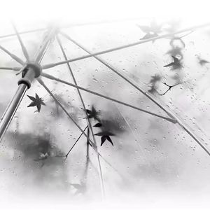 南下（cover:徐海俏）