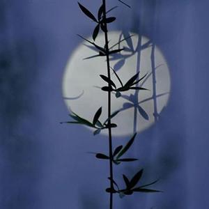 醉月（翻自 慕寒）