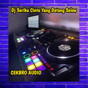 DJ Seribu Cinta Yang Datang Selow