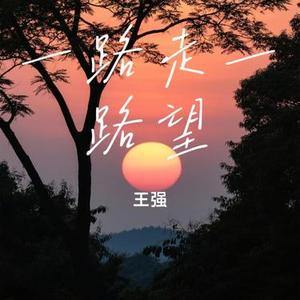 一路走一路望