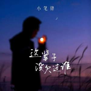 这辈子没欠过谁