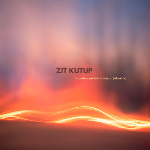 Duyulmuyor Görülmüyor-Akustik