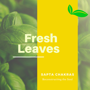 Wandering In The Dawn