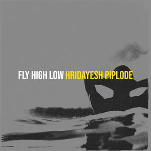 Fly High Low