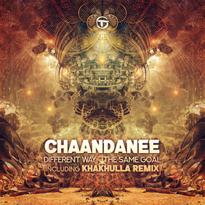 Different Way - The Same Goal