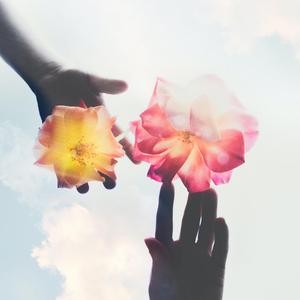 どうして君を好きになってしまったんだろう(为什么会喜欢上你)