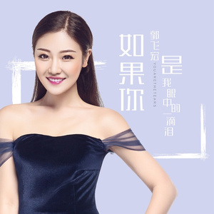 如果你是我眼中的一滴泪