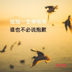 短短一生弹指间谁也不必说抱歉 (纯音乐)