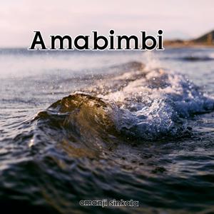 Amabimbi