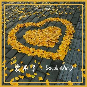 爱不了（Soyalmidim)