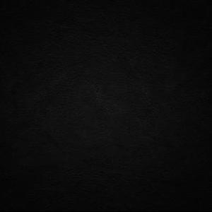 定仙游走魔向北