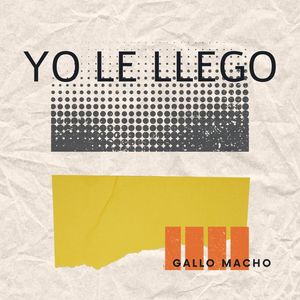 yo le llego