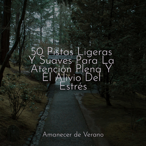 Recolectando Cosechas Melódicas