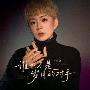 谁也不是岁月的对手 (DJ大来版)