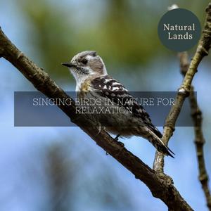 Sparkling Water Flowing