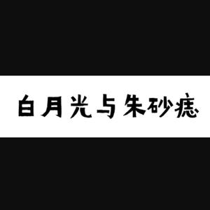 白月光与朱砂痣
