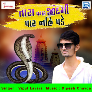 Tara Vagar Zindagi Paar Nahi Pade