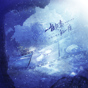 一枚贝壳的一生