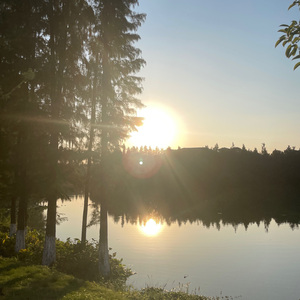 tmp_267d49989e8c2aac549375de24731d4a