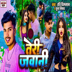 Teri Jawani