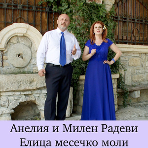 Сватове шетат из двори