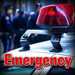 Fire Scene with Siren, Light Radio Voices Sound Effect