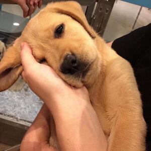 张卫健-身体健康（阿猪 remix）