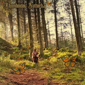 Rhomboidal Butterfly