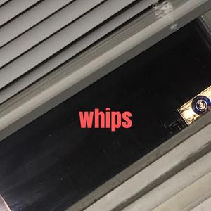whips