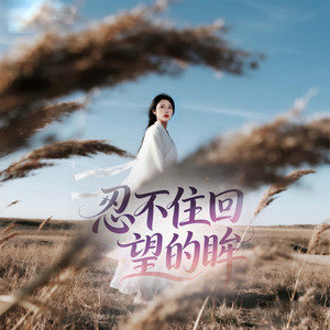 忍不住回望的眸 (混音版)