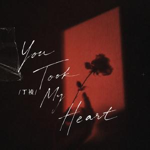 You Took My Heart