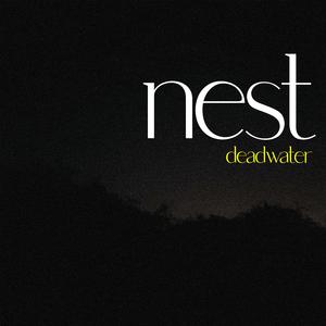nest