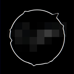 メリーゴーランド狂想曲