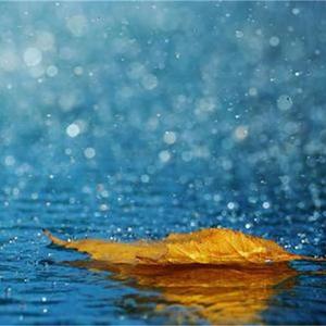 时间煮雨