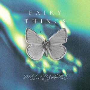 Fairy Things