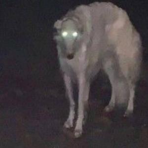 another ****ing song that i recorded on a voice note because my lazy ass dont wanna open fl studio