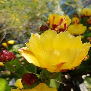 Desde Lejos_ Te Llevo en Mi