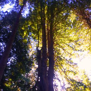 20twenty2 (i wonder if you k.new)