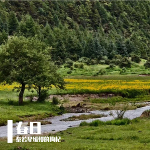 酸甜律动 (Life in Slices)