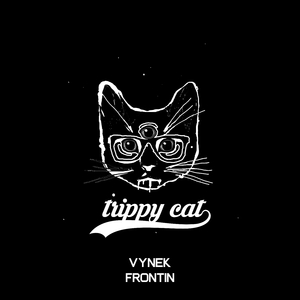 Frontin (Original Mix)