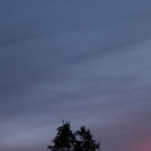 Petrichor (Instrumental)