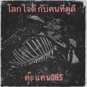 โลกใจดี กับคนที่ดูดี