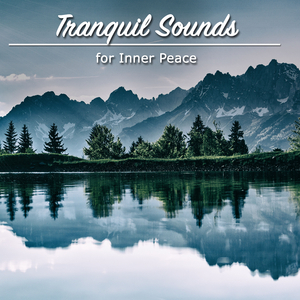 Tranquil Binaural Sounds